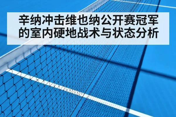 辛纳冲击维也纳公开赛冠军的室内硬地战术与状态分析