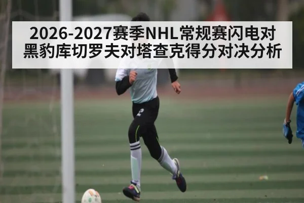 2026-2027赛季NHL常规赛闪电对黑豹库切罗夫对塔查克得分对决分析